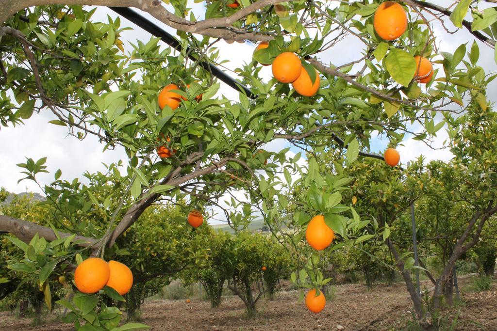 Tenuta Lanza Il Mulino Acquaviva Platani Ngoại thất bức ảnh